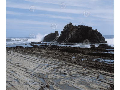 fs_c-o_sci_1200pxwm-72