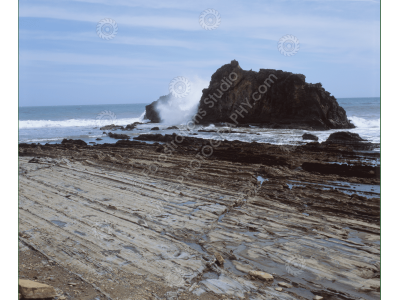 fs_c-o_sci_1200pxwm-75