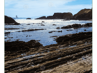 fs_c-o_sci_1200pxwm-79