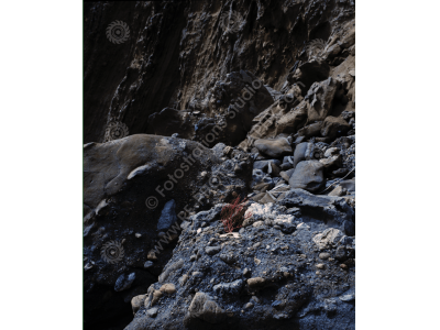 fs_c-o_sci_1200pxwm-82