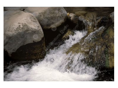 fs_c-w_mc_1200pxwm-9