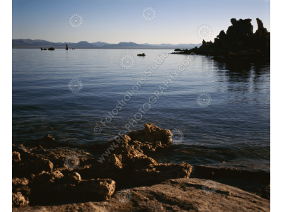 fs_c-w_ml_1200pxwm-2