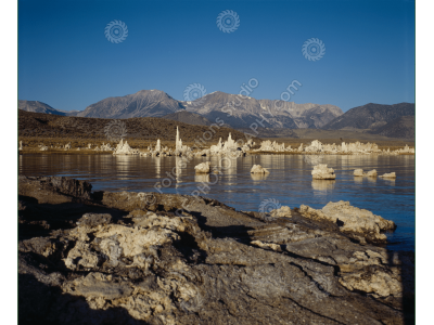 fs_c-w_ml_1200pxwm-6